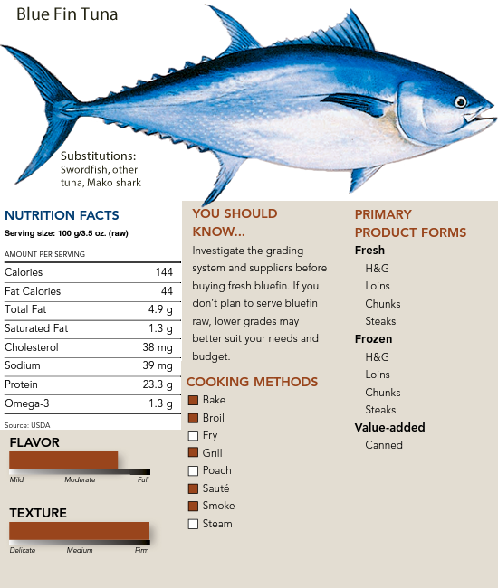 Blue Fin Tuna