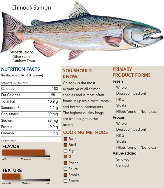 Chinook Samon