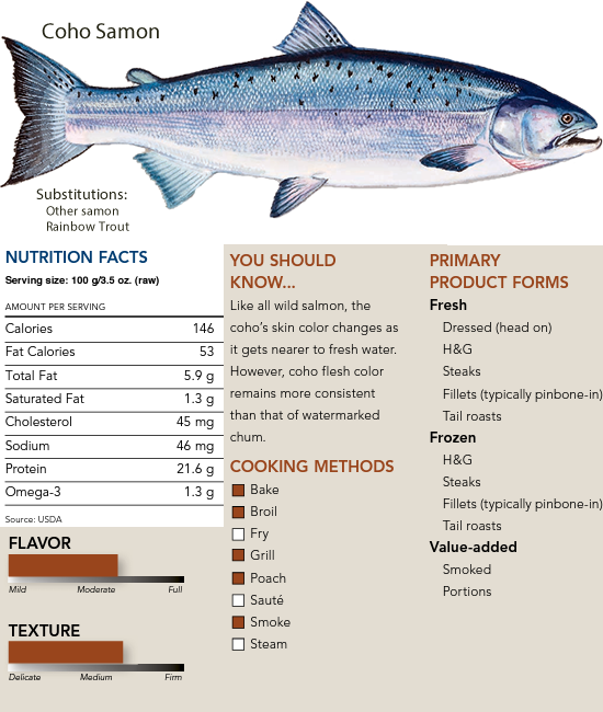Coho Samon
