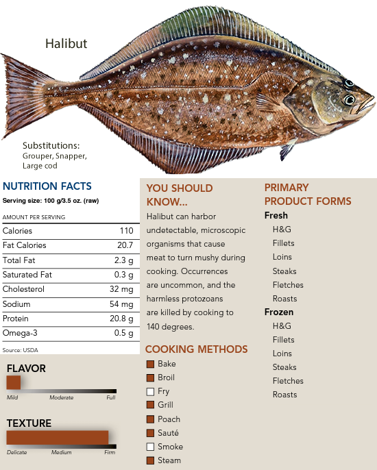 Halibut