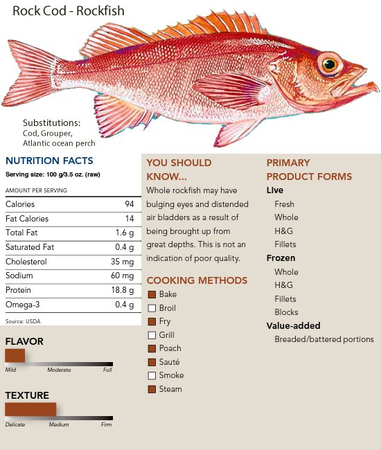 Rock Fish
