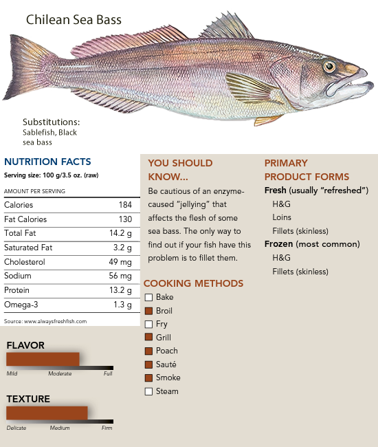 Chilean Sea Bass