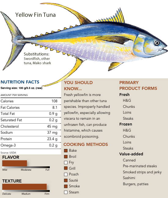 Albacore Tuna