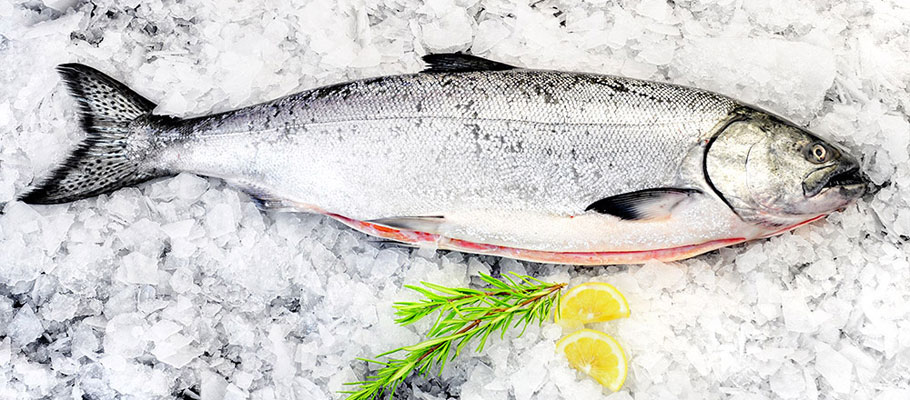 salmon on ice