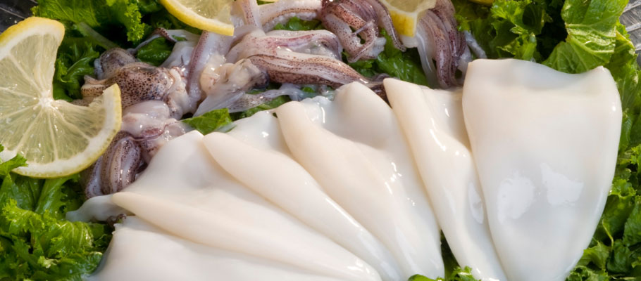 squid mantle and tentacles